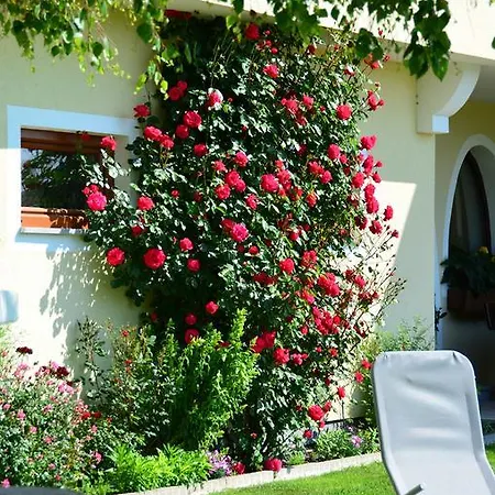 Guest house Haus Gruber Attersee