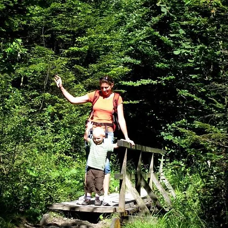 Haus Gruber ゲストハウス